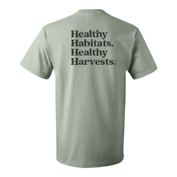 Sagestone Tee Front Image on white background