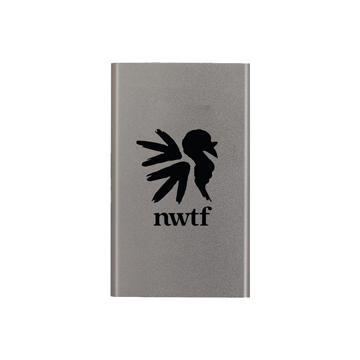 Mobile Power Bank Product Image on white background